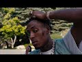 NBA YoungBoy  - Won