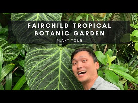 Fairchild Tropical Botanic Garden