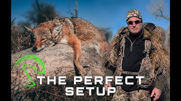 Coyote Hunting - How to setup your stand - getting started coyote hunting with Predator Academy