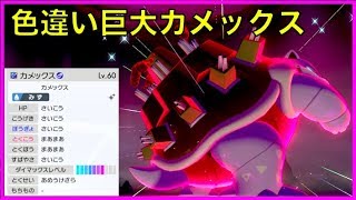 本日の配布終了 ポケモン剣盾 色巨大カメックスレイド配布 その他多数レイドも配布中 詳しくは概要欄にて Shunjo 本日の配布終了 ポケモン剣盾 色巨大カメックスレイド配布 その他多数レイドも配布中 詳しくは概要欄にて Shunjo