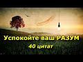 40 цитат, которые успокоят ваш разум, когда вы находитесь на распутье.