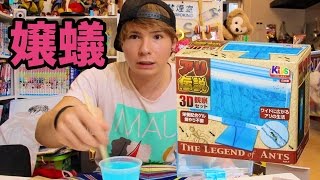 アリ伝説3D観察セット！女王アリで帝国を作るの巻　PDS