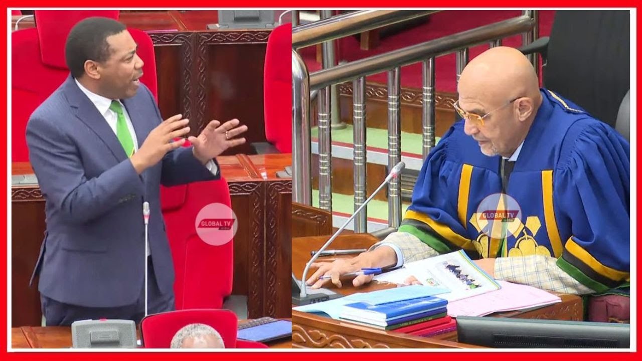 MWIGULU AFOKA BUNGENI - ZUNGU AMZIMIA MAIKI na KUMPIGA STOP - YEYE AENDELEA KUONGEA - MPINA ASIMAMA