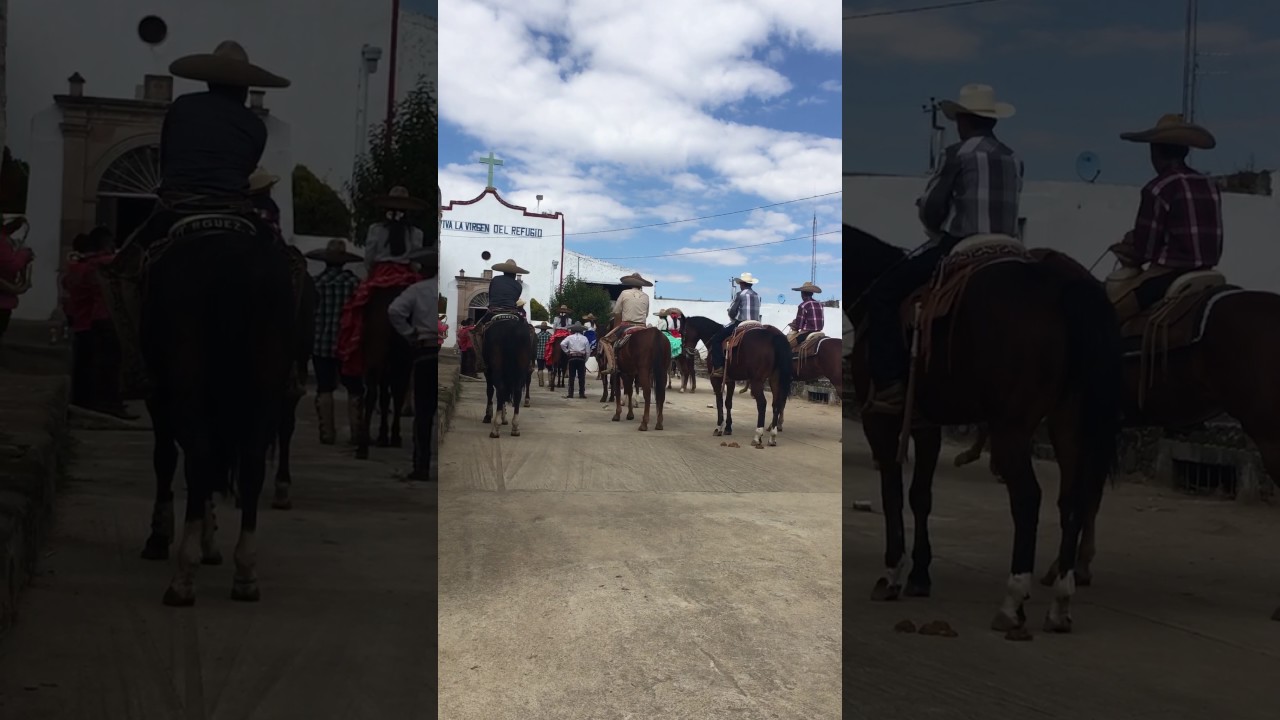 Rodeo baile 24/11/16 refugio de los pozos YouTube