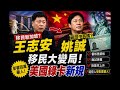 王志安準備移民新加坡？姚誠投共｜美國綠卡新規｜反共中國網紅99%都是假的｜