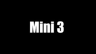 Mini 3 (COD)