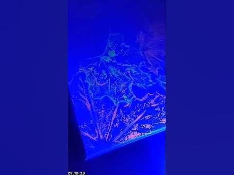 ЯЩИК ИЗ ДЕРЕВА. КОНКУРСЫ. НА ОЩУПЬ. ИНТЕРАКТИВНАЯ ИГРА. ПОДАРОК. ОСЕНЬ ...