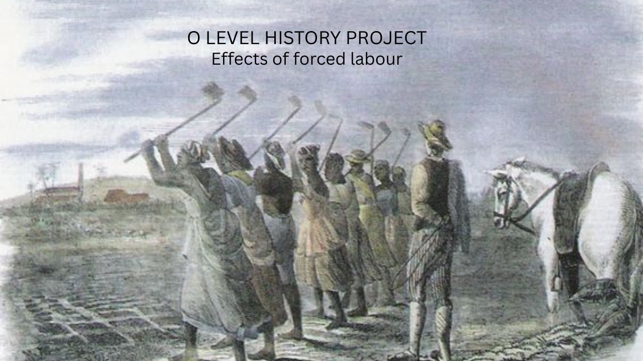 ZIMSEC O Level History Project: Forced Labour in Colonial Zimbabwe 