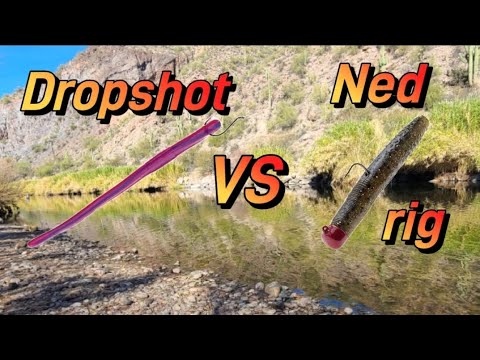 dropshot vs nedrig bass fishing