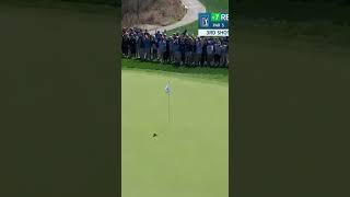 Incredible Golf Shot That Will Blow Your Mind! AI 11 #golf #golfshot