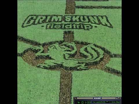 GrimSkunk - Dimming the Light
