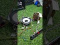 Zero Cost 12V Amplifier Using Only Components from an Old LG TV LA42071 #tvrepair #bass #speaker