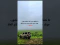 حوف لا تلوم اللي من شوق إيتظلم شيلات بدون موسيقه 