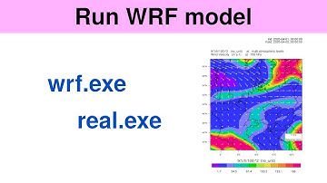 Run the WRF model