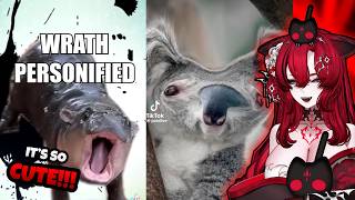 These MoreParz Shorts Are UNHINGED | VTuber Reacts