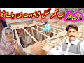 Mashallah ab ghar mukammal khubsoorat ban jai ga  dailyvlog villagelife   safdar family vlogs