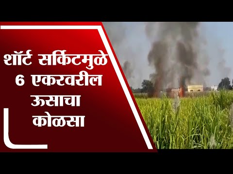 Latur | लातूरच्या वाढवणामध्ये शॉर्ट सर्किटमुळे आग, 6 एकरवरील ऊस जळून खाक - tv9