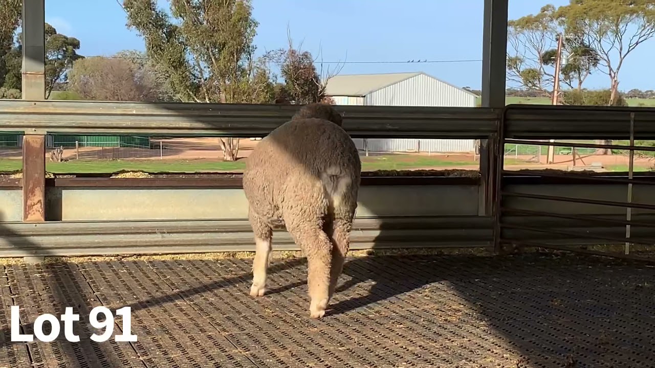 Glenlea Park 2021 Lot 91 YouTube