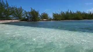 Isla Iguana Cuba Cayo Largo