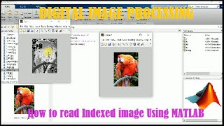 How to Read an Indexed Image Using MATLAB