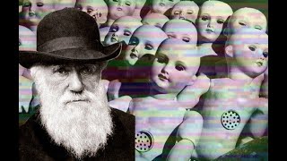 Comment Le Conformisme A Hacké Lévolution