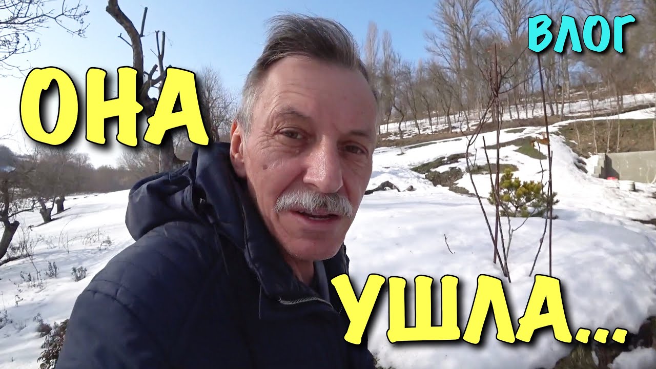 Лексус история создания