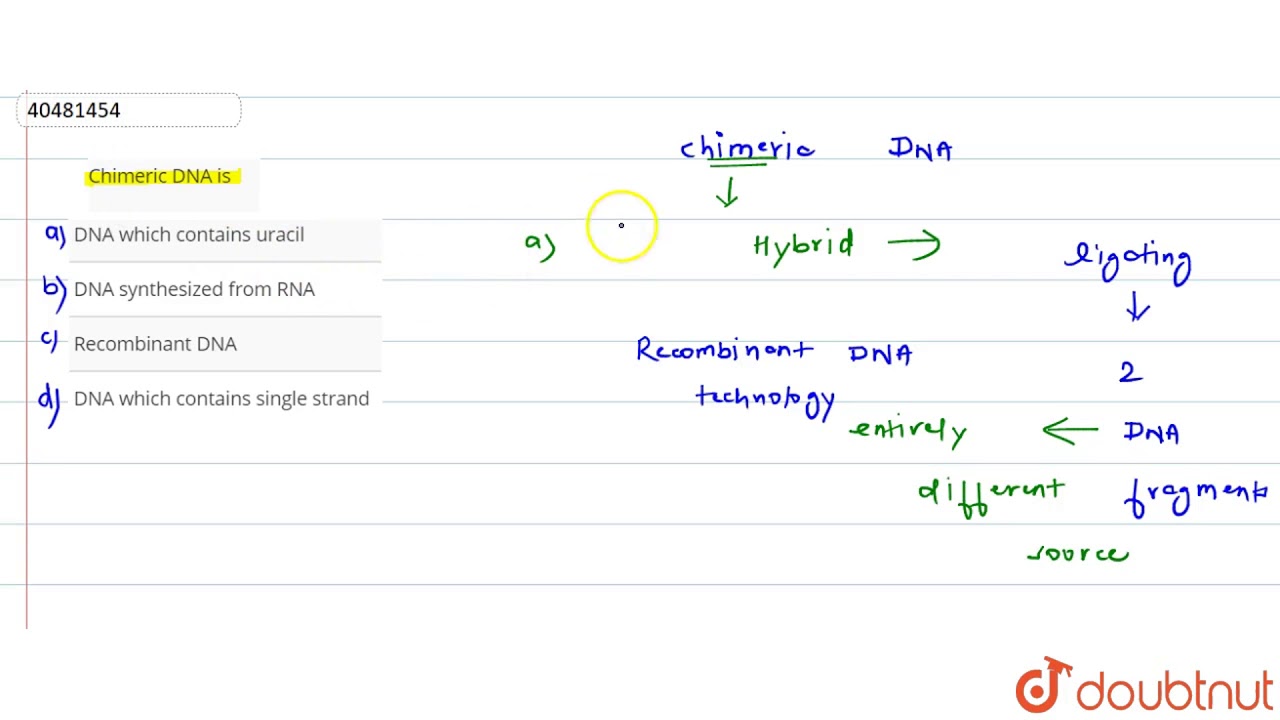 chimeric dna is