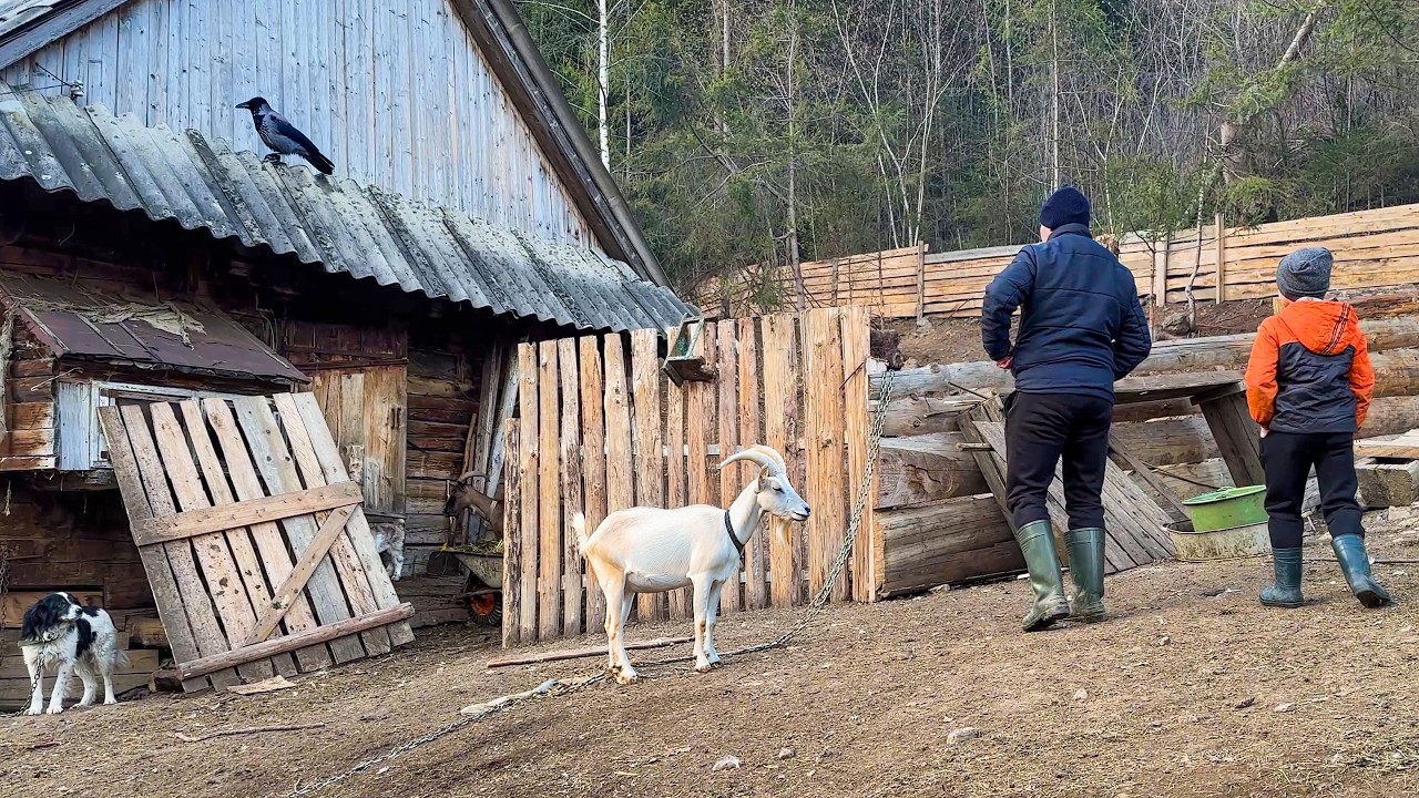 The Beginning of Winter in the Carpathian Mountains and an Old Recipe for Homemade Butter