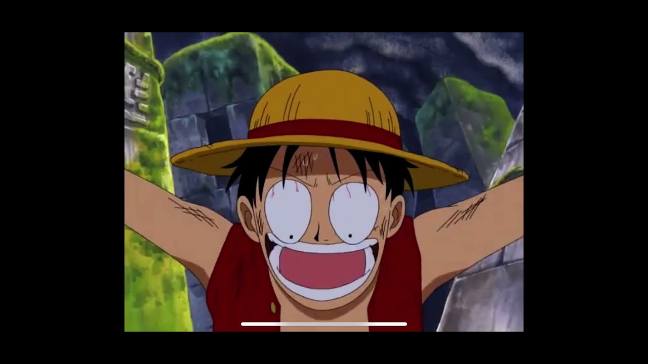 WHAT DID LUFFY SAY!!!?!?!? YouTube