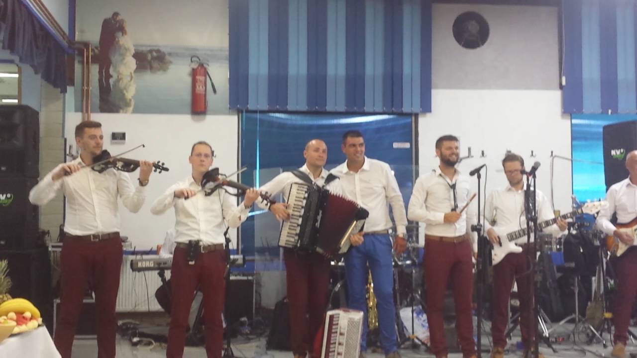 Aleksandar Sofronijevic - Aj berem groždje, biram tamjaniku (instrumental)