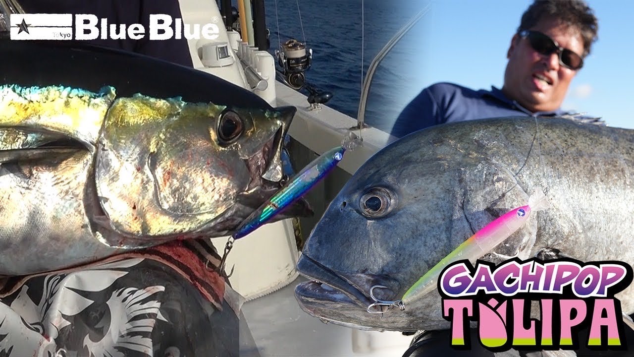 GAI LURE'S　GAI POP115ラップブルー管理番号M0293 GAI LURE'S GAI POP115ラップブルー管理番号M0293