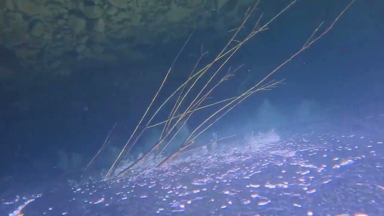 Rycerka Dolna Morsowanie " Na belkach " 