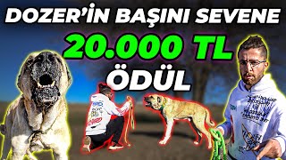 TASMASINI SÖKENE 100.000 TL, BAŞINI SEVENE 20.000 TL ÖDÜL! - Urfa Gureğh Dozer VS Soner