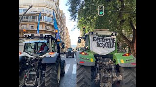 LA MANIFESTACIÓN DEL EXP. ROYUELA SE DELGARÁ EN TERCERAS PERSONAS PARA SU ORGANIZACIÓN
