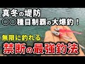 真冬に魚種無限の大爆釣！ルアーで簡単・ボウズ逃れ最強の釣り方で魚が湧く光景に衝撃【スパーク40・55】