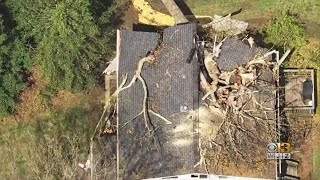 Man Killed And Woman Hospitalized After Tree Crashes Into Annapolis Home