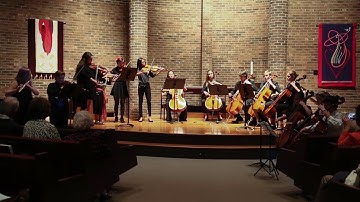 Vivaldi Concerto for Strings in D major, RV.121