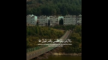 [الذين صبروا وعلى ربهم يتوكلون] القارئ عبد الرحمن مسعد #quran