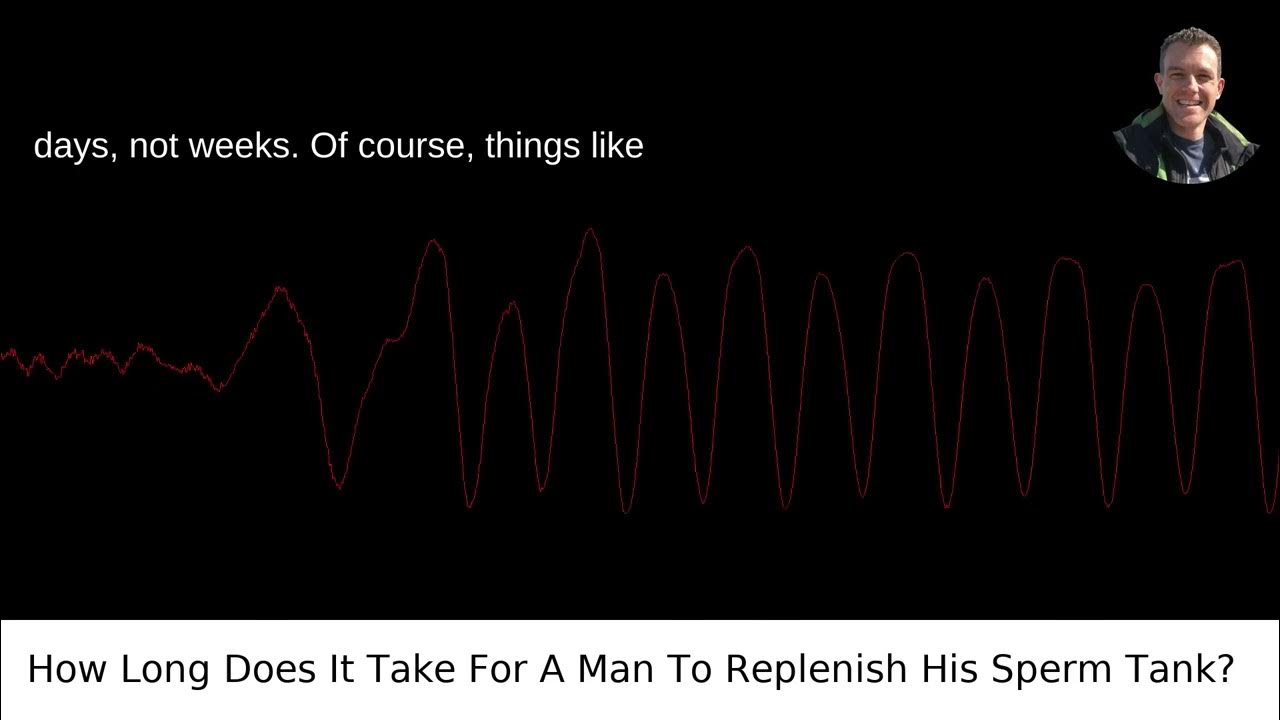 How Long Does It Take For A Man To Replenish His Sperm Tank? YouTube