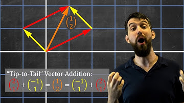 What is a vector? Visualizing Vector Addition & Scalar Multiplication