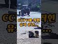 CCTV에 찍힌 유기 순간… 강아지 형제의 마지막 표정 The moment they were abandoned on CCTV… #유기견구조 #강아지구조 #아기강아지 #shorts