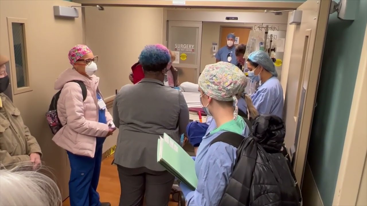 Caroline's Walk Of Honor II