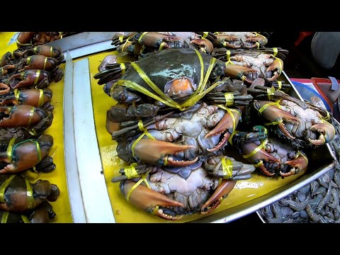 เดินตลาดสดปากน้ำ ตอนเช้า!!! ของสดมาก!! ตลาดปากน้ำ สมุทรปราการกุ้งตัวโตๆปูตัวใหญ่ๆราคาหลักร้อย ล่าสุด