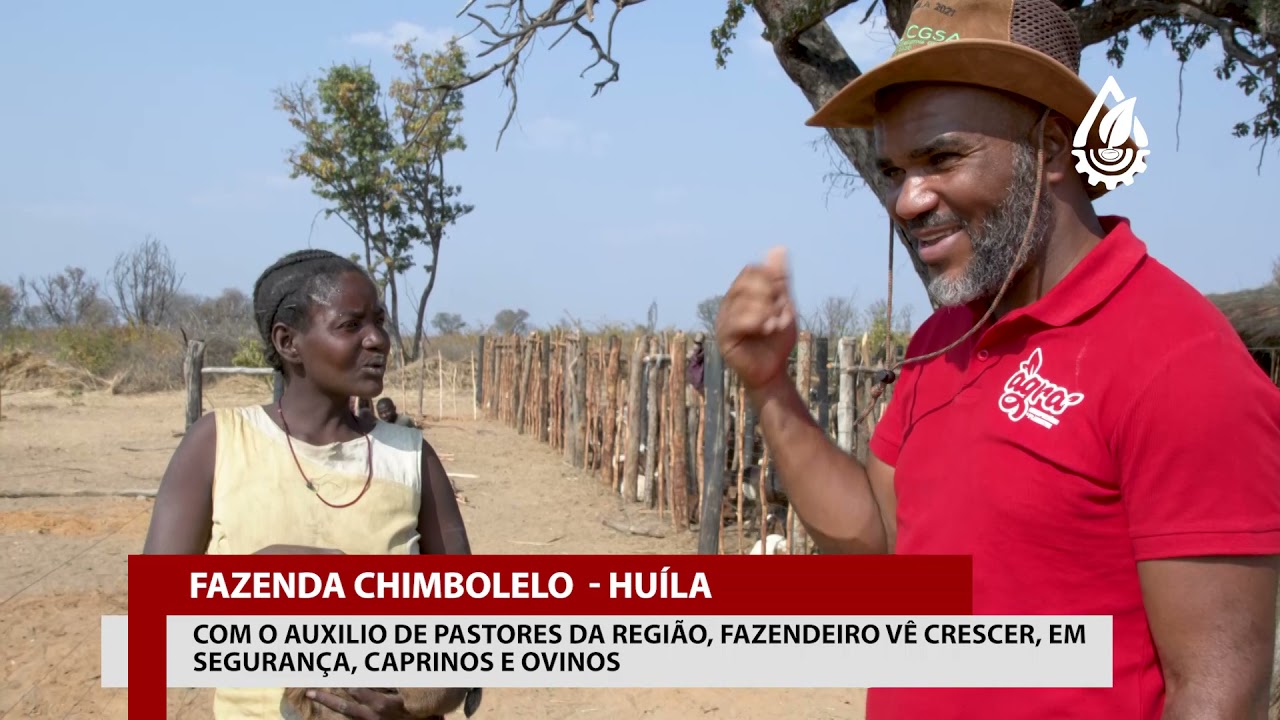 SEMEAR 1068 - FAZENDA BORGES