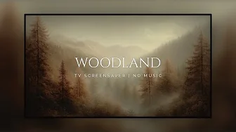 TV Screensaver | Fall Woodland Serenity: 3 Hours of Relaxing Art for Autumn Atmosphere