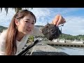 🔴Fishing at the ocean shizuoka #fishing #camping