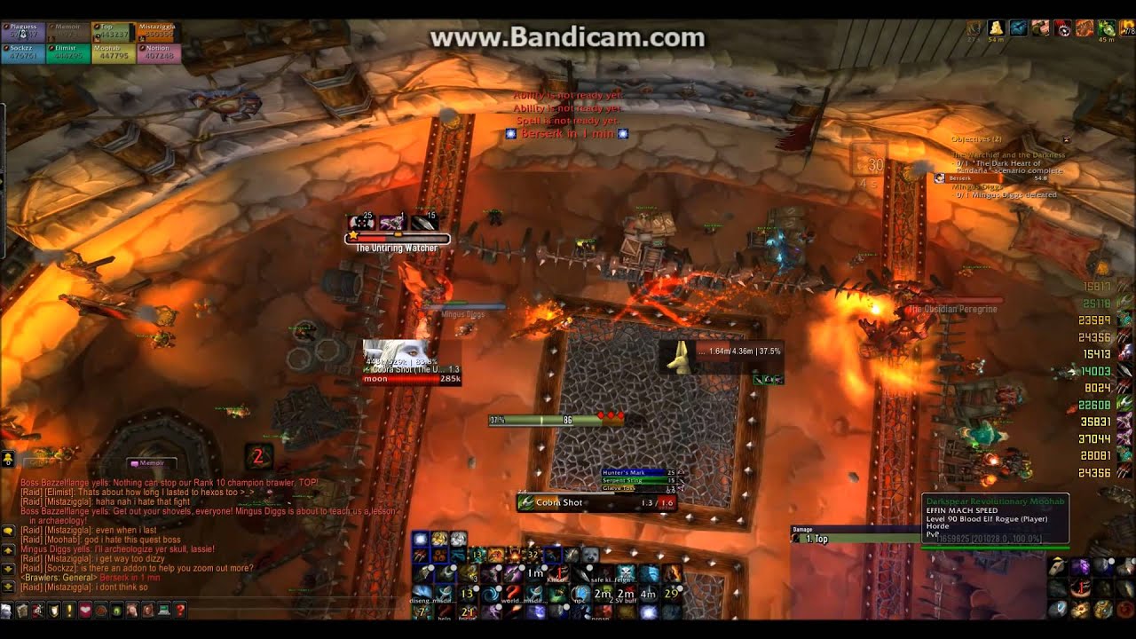 brawler's guild mingus diggs hunter pov