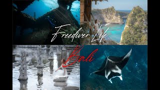 Freediver Life @ Bali 2022