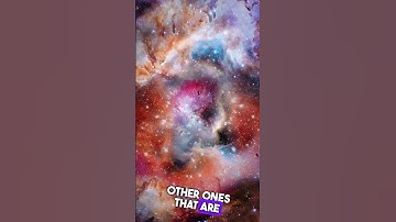 Elon Musk on multiverse