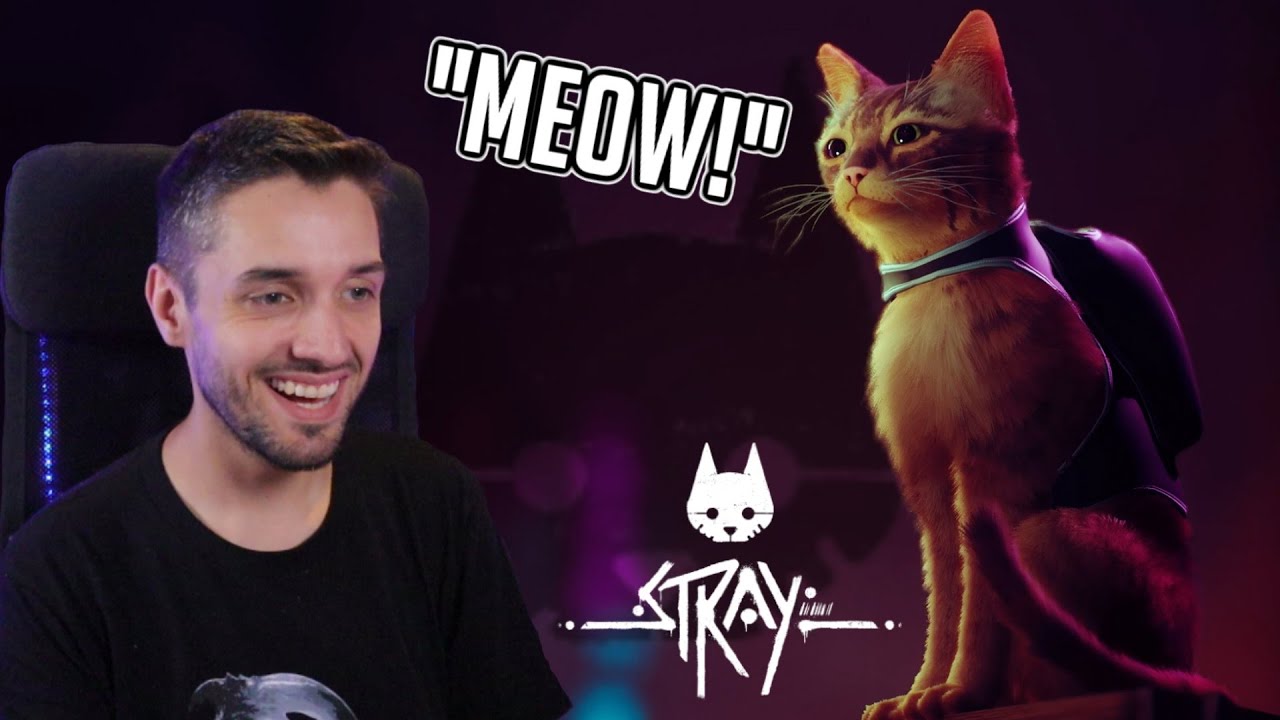 Streamer plays Stray for the FIRST time!